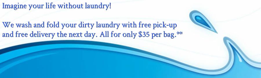 laundry genies laundry home pickup wash and fold imagine no laundry